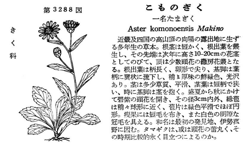 植物図鑑