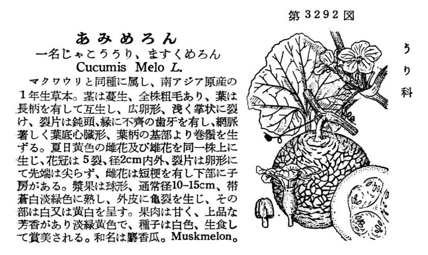 植物図鑑