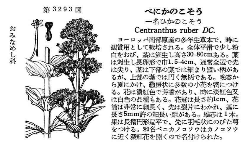 植物図鑑