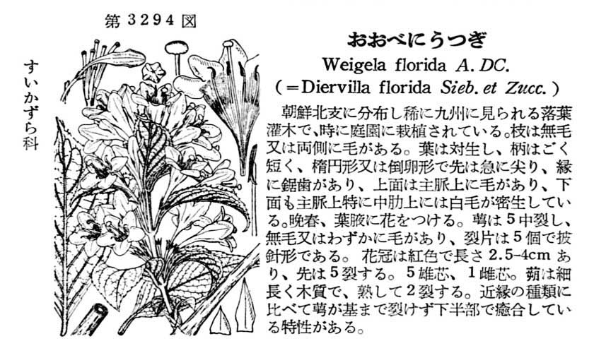 植物図鑑