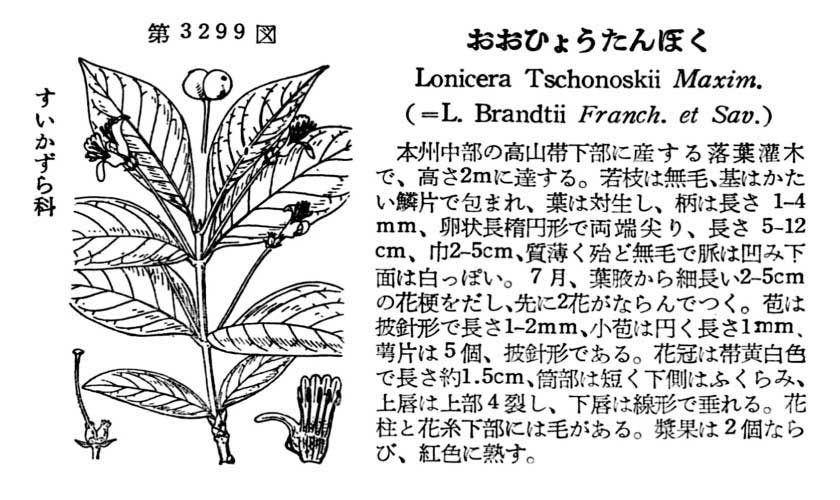 植物図鑑