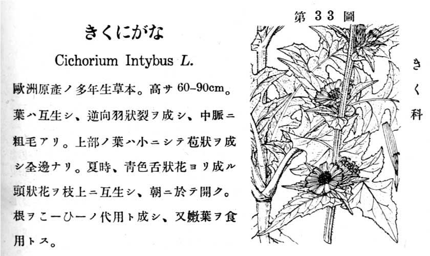 植物図鑑