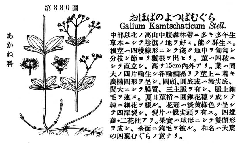 植物図鑑