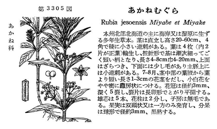 植物図鑑