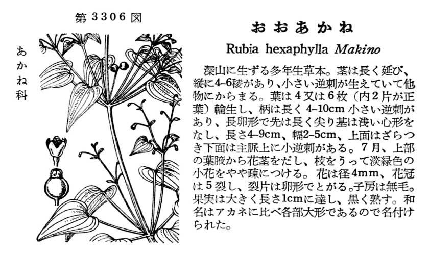 植物図鑑