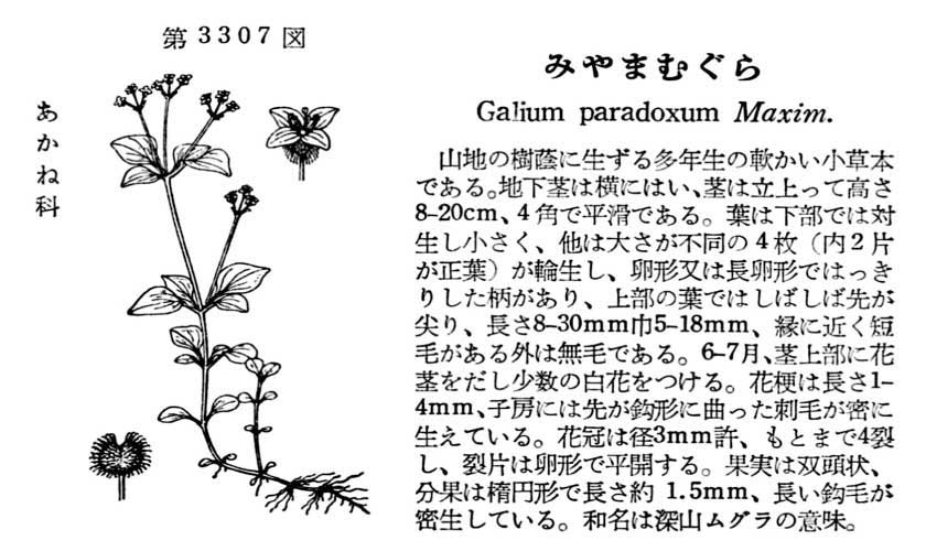 植物図鑑