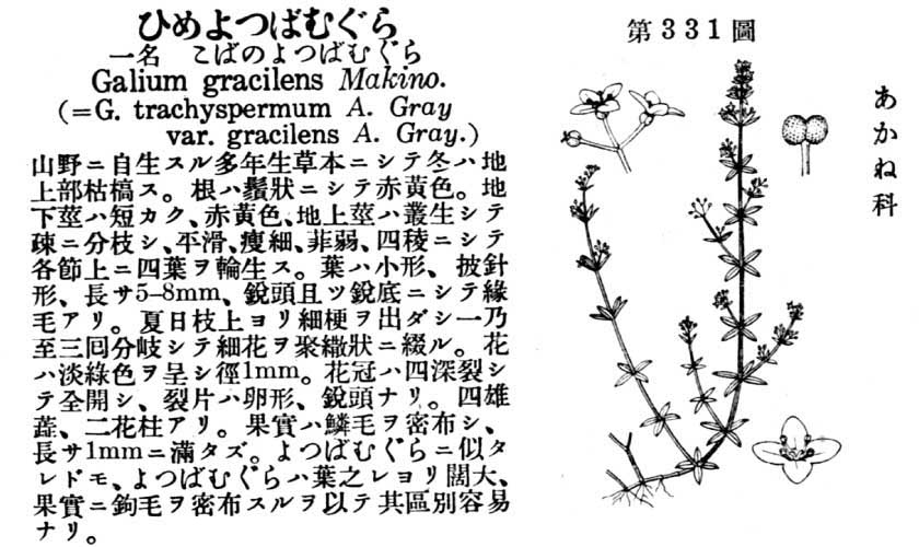 植物図鑑