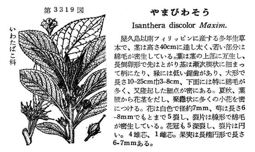 植物図鑑