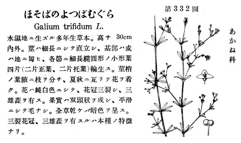 植物図鑑