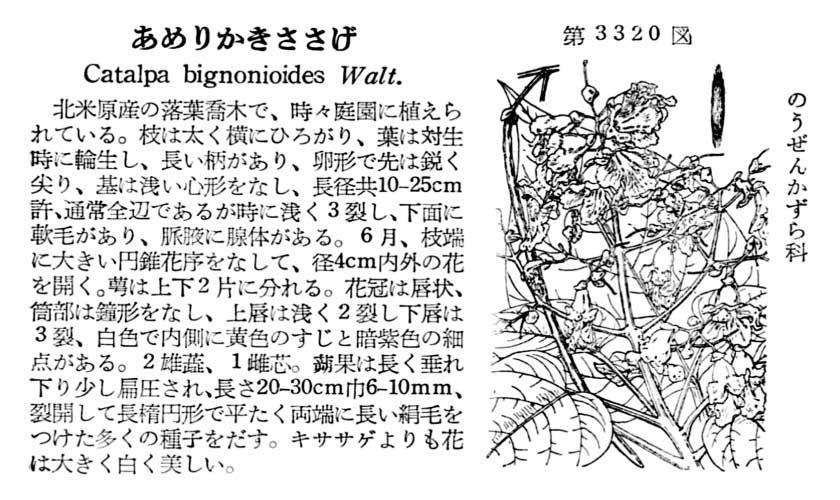 植物図鑑