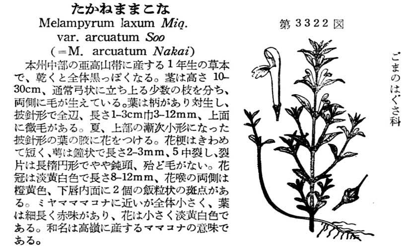 植物図鑑