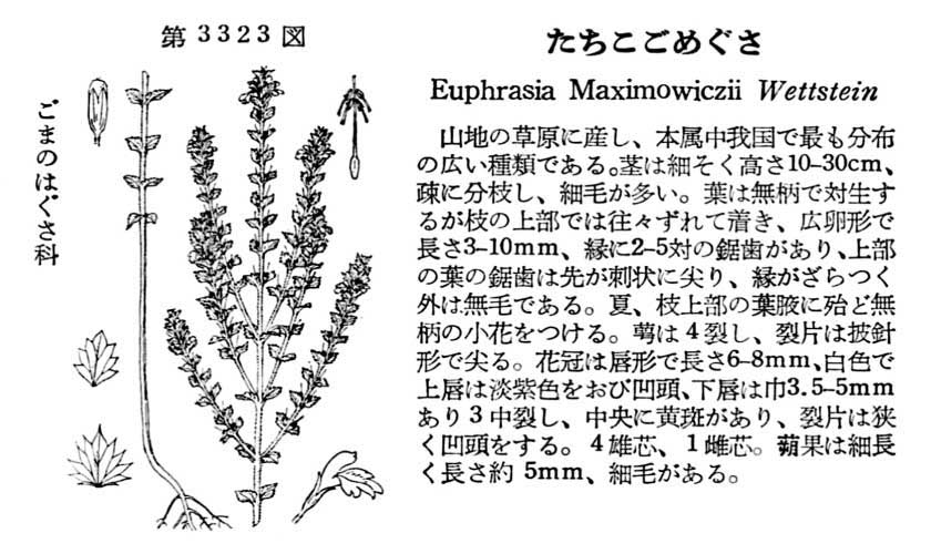 植物図鑑