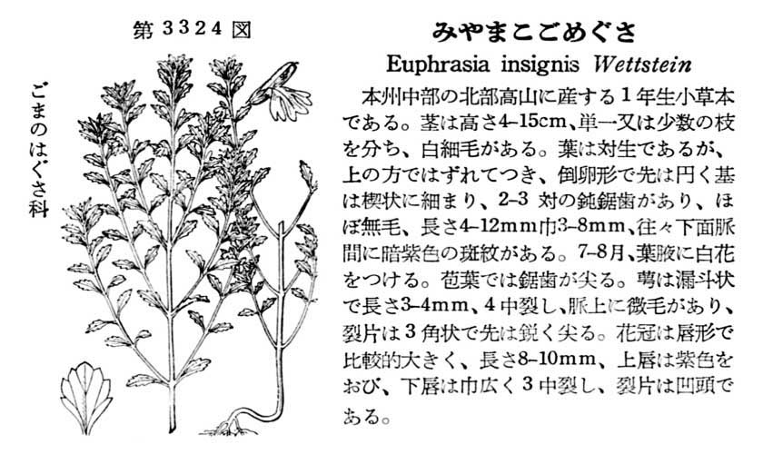 植物図鑑