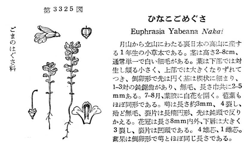 植物図鑑