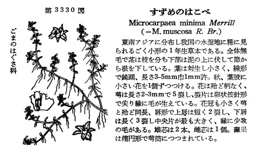 植物図鑑