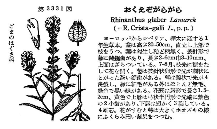 植物図鑑