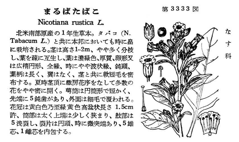 植物図鑑