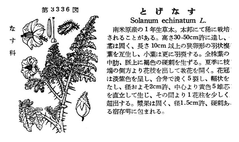 植物図鑑