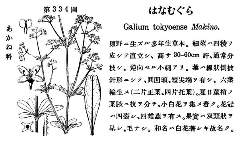 植物図鑑