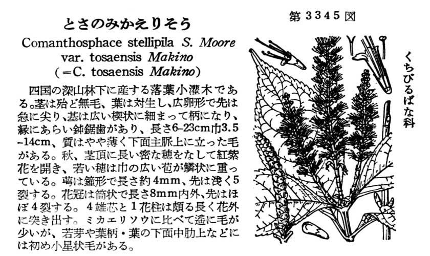 植物図鑑