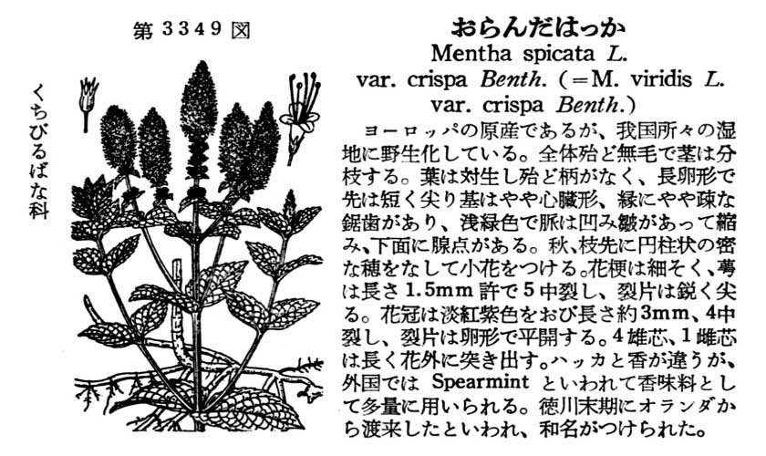 植物図鑑