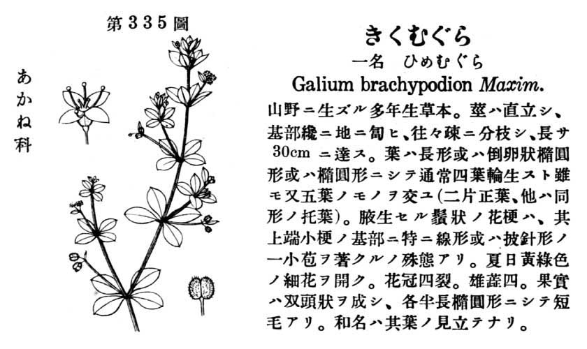 植物図鑑