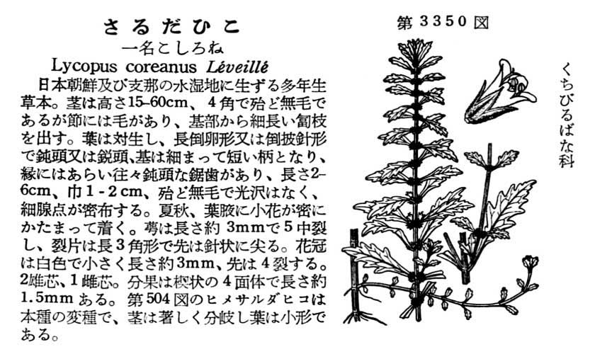 植物図鑑