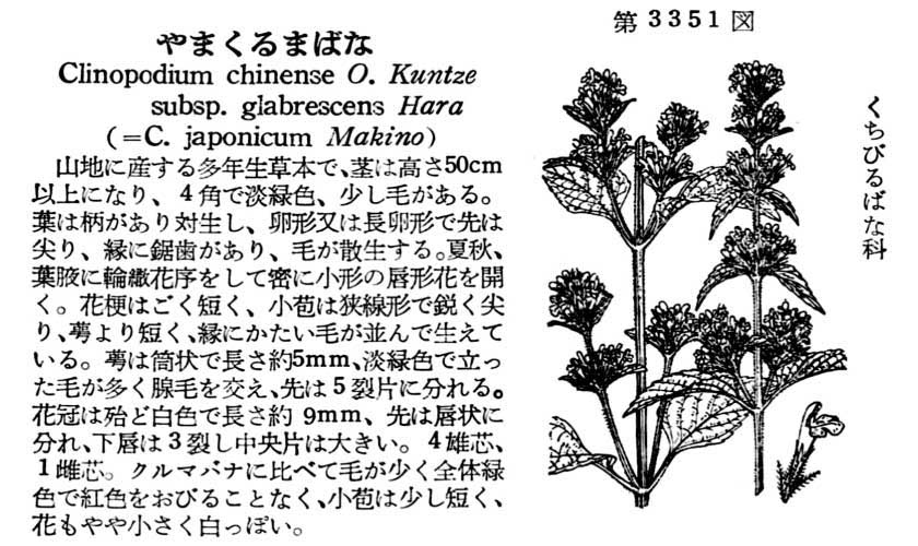 植物図鑑