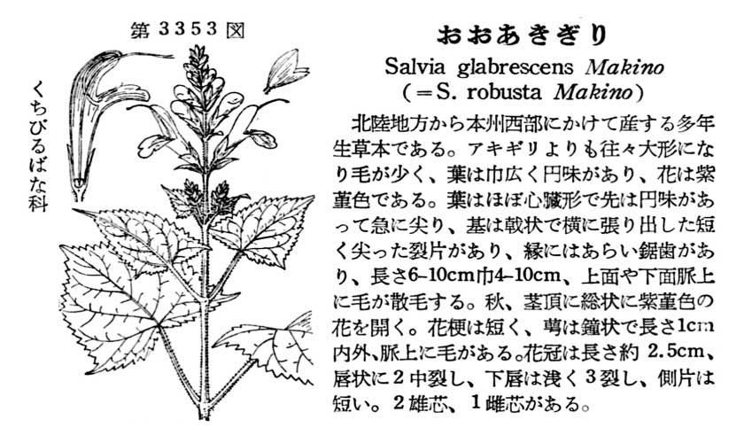 植物図鑑