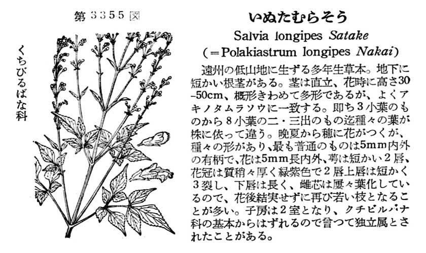 植物図鑑