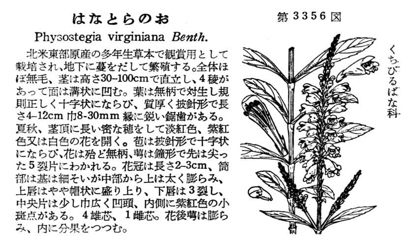 植物図鑑