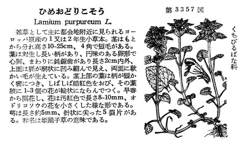 植物図鑑