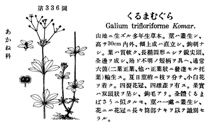 植物図鑑