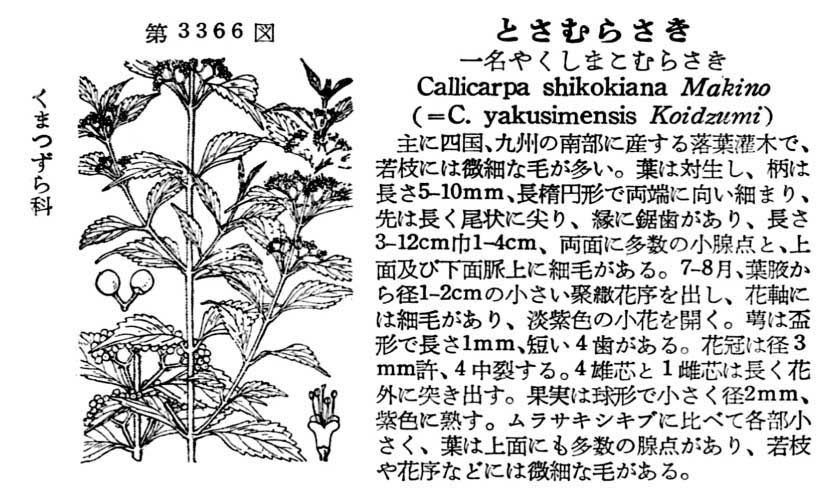 植物図鑑