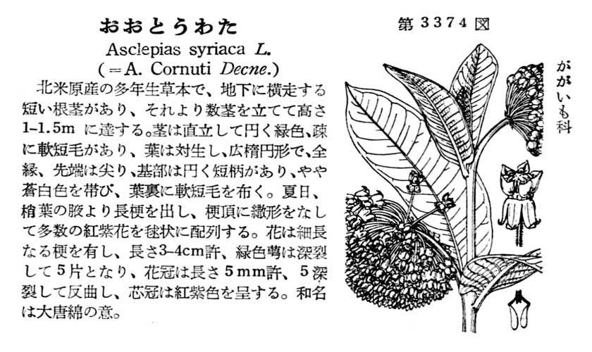 植物図鑑