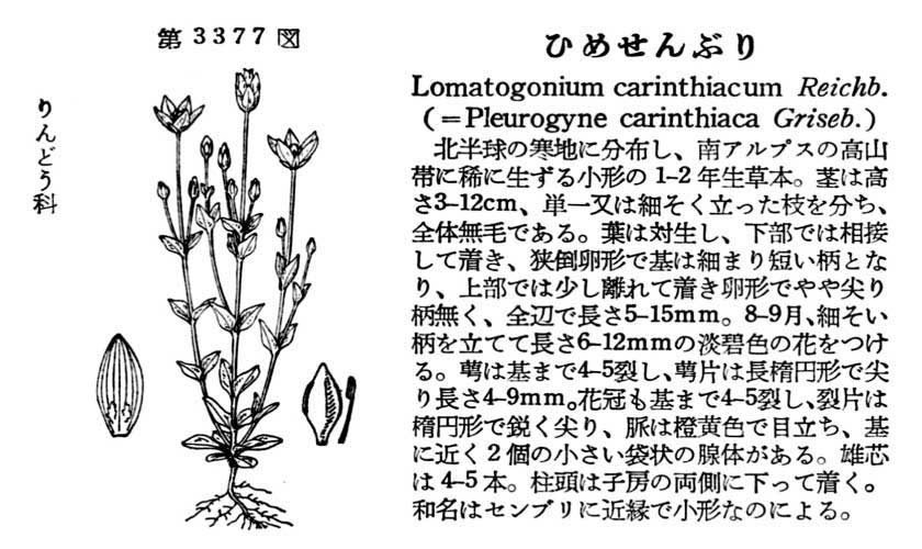 植物図鑑