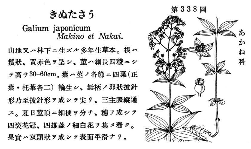 植物図鑑