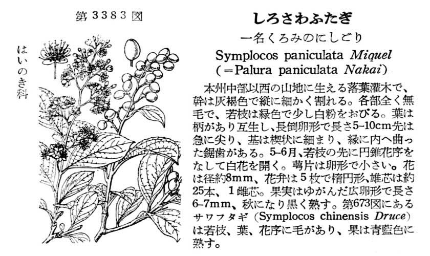 植物図鑑