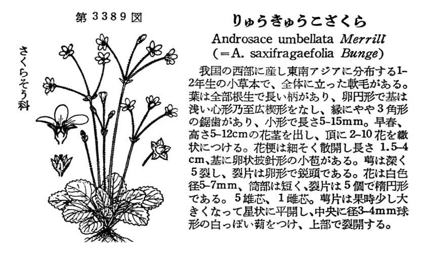 植物図鑑