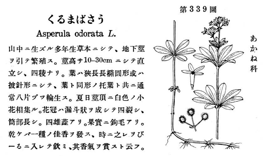 植物図鑑