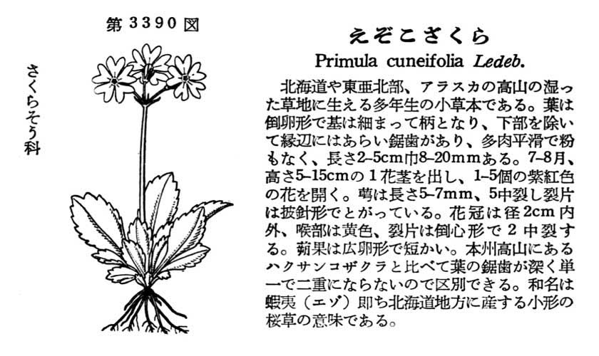 植物図鑑