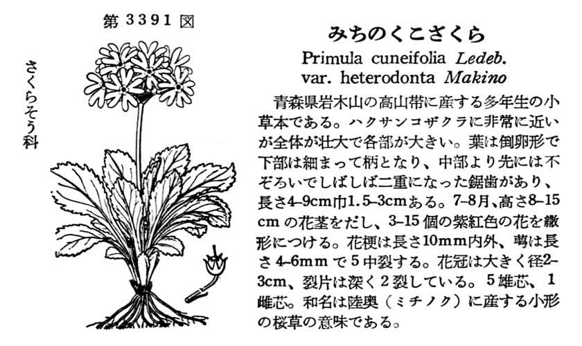 植物図鑑