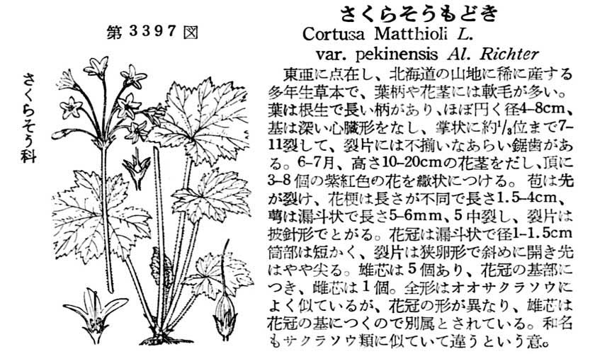 植物図鑑