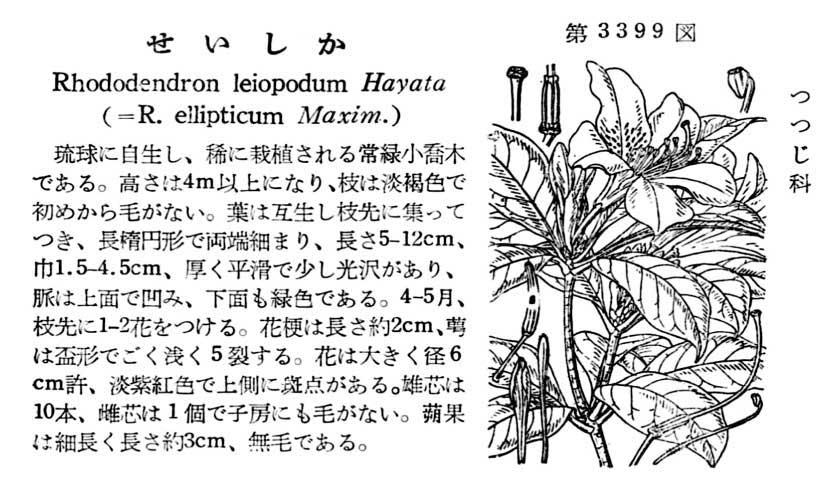 植物図鑑