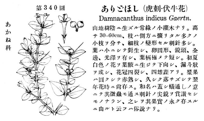 植物図鑑