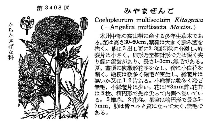 植物図鑑