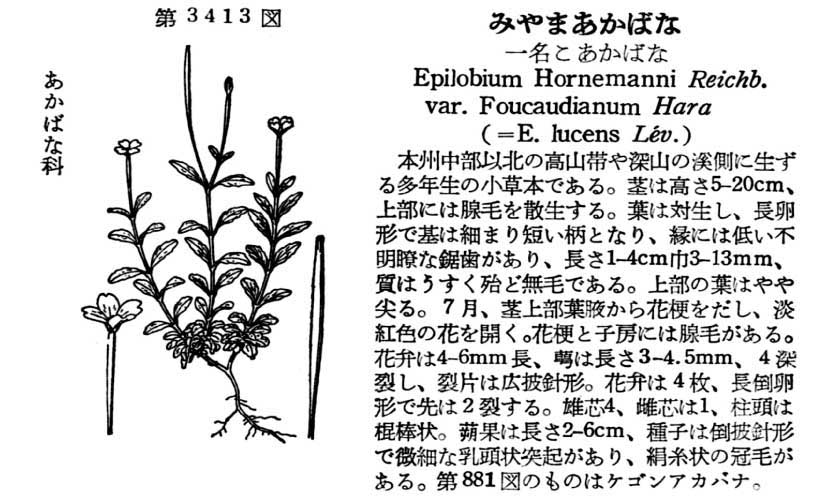 植物図鑑