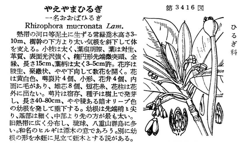 植物図鑑