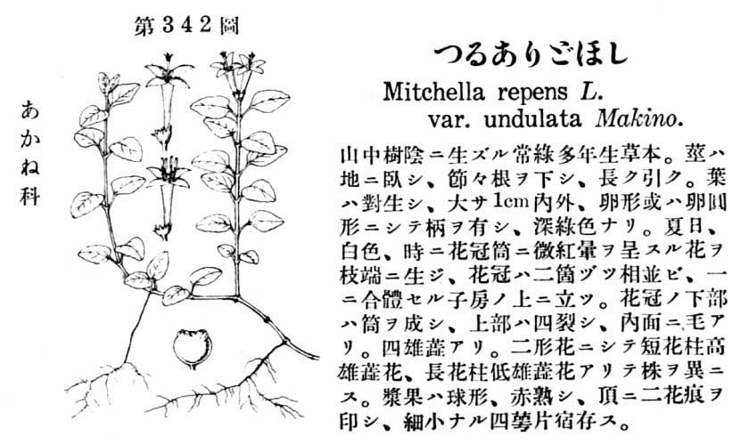 植物図鑑