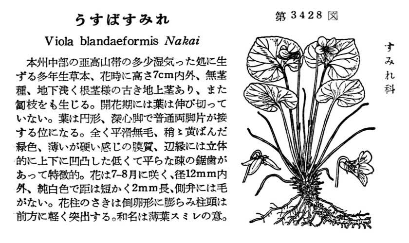 植物図鑑